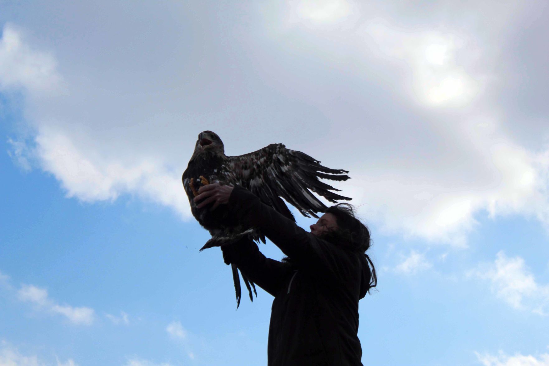 Audrey releases eagle